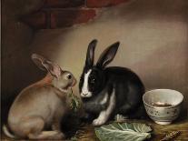 Rabbits-Joseph Thomas Wilson-Premier Image Canvas