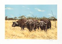 American Buffalo-Joseph Vance-Framed Collectable Print