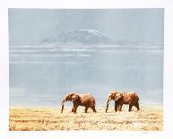 Kilimanjaro Elephants-Joseph Vance-Framed Collectable Print