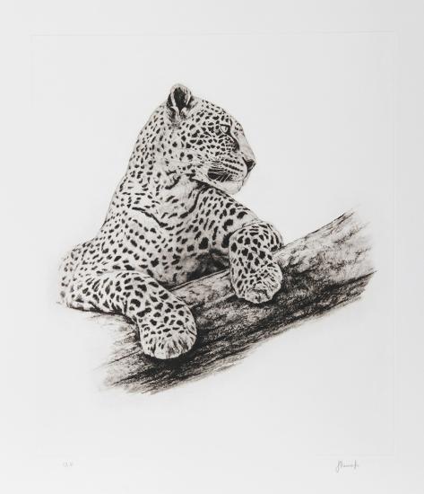Collectable Print, , large