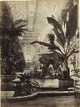 Crystal Palace : Montis Fountain and nave looking South (fontaine Montis et nef vue du sud)-Joseph Warren Zambra-Giclee Print