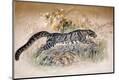 Premium Giclee Print