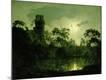 Premium Giclee Print