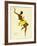 Josephine Baker, Black Thunder-null-Framed Giclee Print