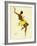 Josephine Baker, Black Thunder-null-Framed Giclee Print