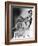 Josephine Baker-null-Framed Photo