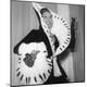 Premium Photographic Print