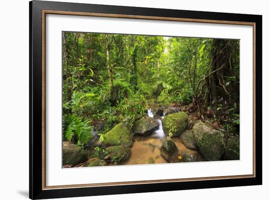 Josephine Falls Is One of the Most Popular Sets of Waterfalls on the South Side of Cairns-Paul Dymond-Framed Photographic Print