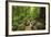 Josephine Falls Is One of the Most Popular Sets of Waterfalls on the South Side of Cairns-Paul Dymond-Framed Photographic Print