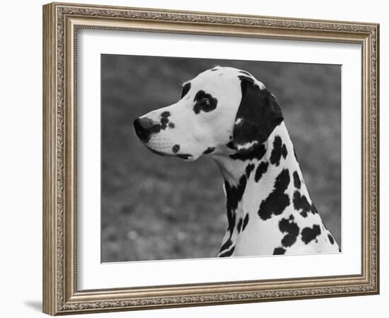 Josephine of Ilesberry Head Study-Thomas Fall-Framed Photographic Print