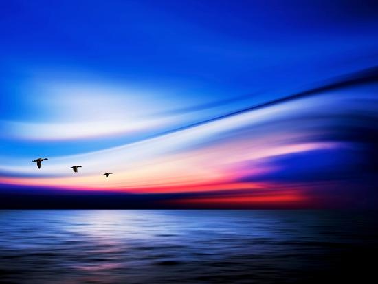 Photographic Print, , large