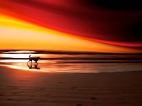 Colorful Sunset-Josh Adamski-Photographic Print