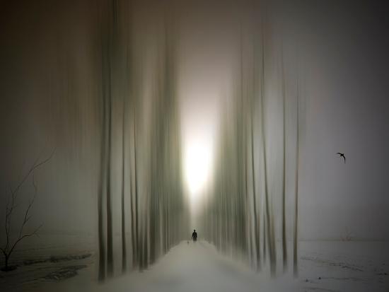 Photographic Print, , large