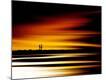 Premium Photographic Print