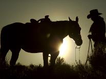 Cowboy With His Horse at Sunset, Ponderosa Ranch, Oregon, USA-Josh Anon-Framed Premier Image Canvas