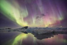 Iceland, Jokulsarlon. Aurora lights reflect in lagoon.-Josh Anon-Photographic Print