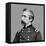 Joshua L. Chamberlain, Vector Portrait-Stocktrek Images-Framed Premier Image Canvas