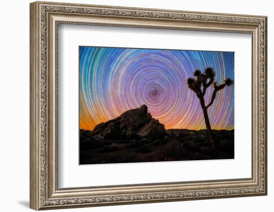 joshua-tree-1-Lincoln Harrison-Framed Photo