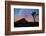 joshua-tree-1-Lincoln Harrison-Framed Photo