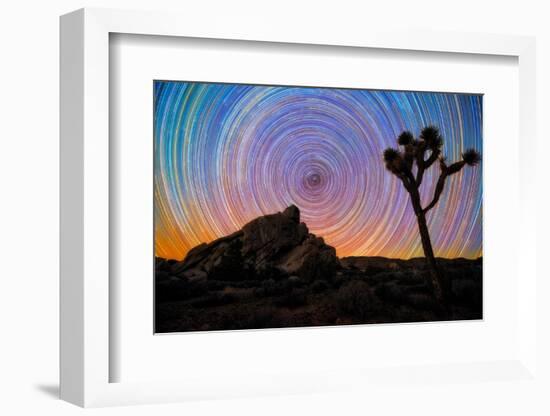 joshua-tree-1-Lincoln Harrison-Framed Photo