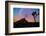 joshua-tree-1-Lincoln Harrison-Framed Photo