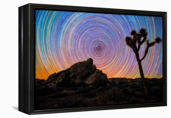 joshua-tree-1-Lincoln Harrison-Framed Stretched Canvas