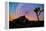 joshua-tree-1-Lincoln Harrison-Framed Stretched Canvas