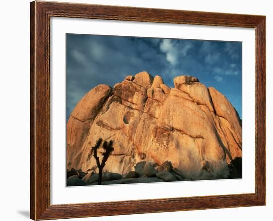 Joshua Tree and Cliffs-Kevin Schafer-Framed Photographic Print