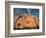 Joshua Tree and Cliffs-Kevin Schafer-Framed Photographic Print