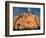 Joshua Tree and Cliffs-Kevin Schafer-Framed Photographic Print