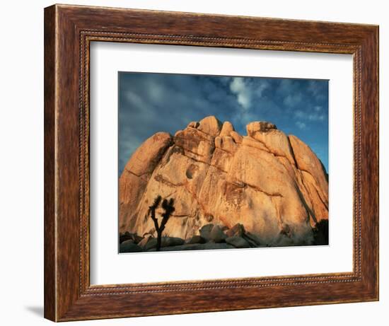 Joshua Tree and Cliffs-Kevin Schafer-Framed Photographic Print