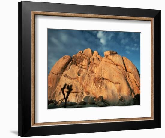 Joshua Tree and Cliffs-Kevin Schafer-Framed Photographic Print