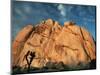 Joshua Tree and Cliffs-Kevin Schafer-Mounted Photographic Print