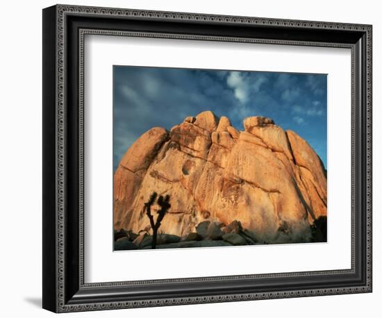 Joshua Tree and Cliffs-Kevin Schafer-Framed Photographic Print