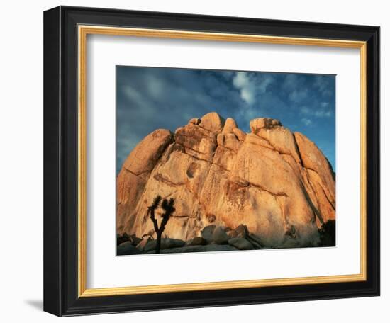 Joshua Tree and Cliffs-Kevin Schafer-Framed Photographic Print