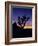 Joshua Tree and Moon, Joshua Tree National Park, California, USA-Jerry Ginsberg-Framed Photographic Print