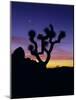Joshua Tree and Moon, Joshua Tree National Park, California, USA-Jerry Ginsberg-Mounted Photographic Print