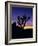 Joshua Tree and Moon, Joshua Tree National Park, California, USA-Jerry Ginsberg-Framed Photographic Print