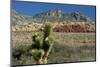 Joshua Tree and Red Rock Canyon National Conservation Area, Nevada, USA.-Michel Hersen-Mounted Photographic Print