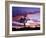 Joshua Tree at Sunset, California, USA-Gavriel Jecan-Framed Photographic Print