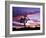 Joshua Tree at Sunset, California, USA-Gavriel Jecan-Framed Photographic Print