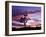 Joshua Tree at Sunset, California, USA-Gavriel Jecan-Framed Photographic Print