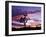 Joshua Tree at Sunset, California, USA-Gavriel Jecan-Framed Photographic Print