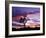 Joshua Tree at Sunset, California, USA-Gavriel Jecan-Framed Photographic Print