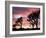 Joshua Tree at Sunset in Joshua Tree National Park, California, USA-Steve Kazlowski-Framed Photographic Print