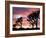 Joshua Tree at Sunset in Joshua Tree National Park, California, USA-Steve Kazlowski-Framed Photographic Print