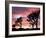 Joshua Tree at Sunset in Joshua Tree National Park, California, USA-Steve Kazlowski-Framed Photographic Print