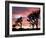 Joshua Tree at Sunset in Joshua Tree National Park, California, USA-Steve Kazlowski-Framed Photographic Print