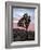 Joshua Tree at Sunset, Joshua Tree National Park, California-James Hager-Framed Photographic Print