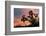 Joshua Tree at Sunset-raphoto-Framed Photographic Print